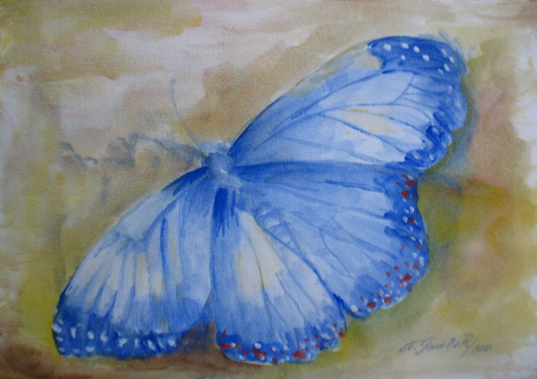 butterfly2