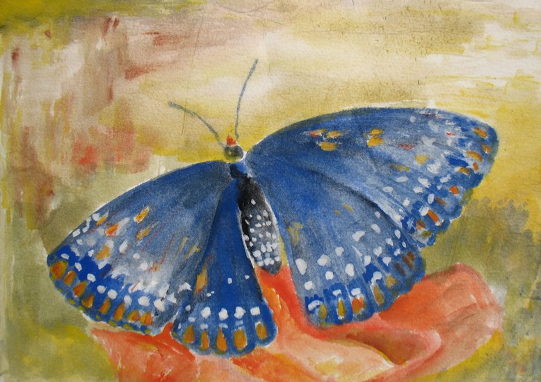 butterfly3