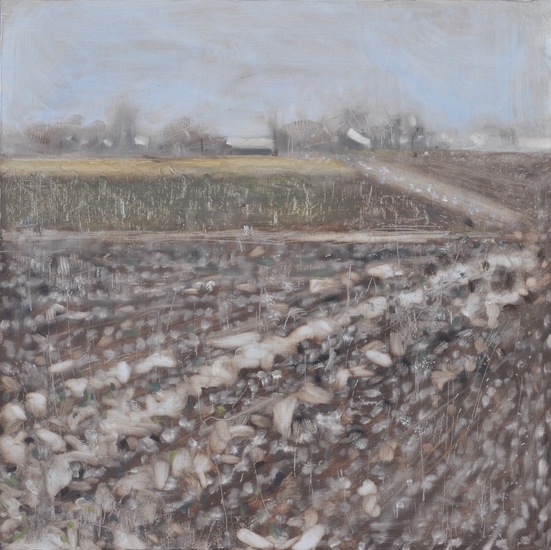 koolveld in winter