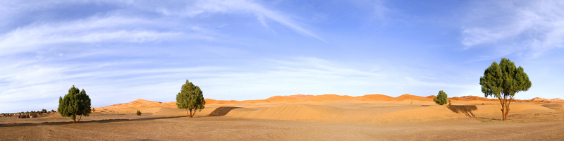 Rand van de woestijn