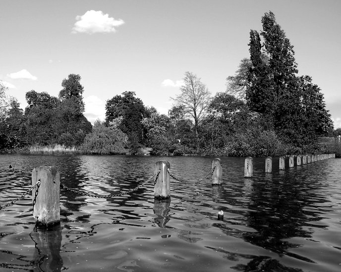 The Serpentine