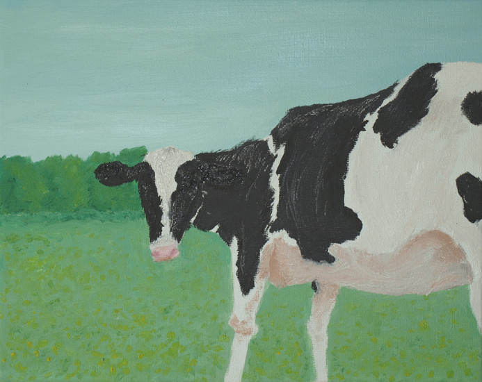 2008-09 Kalf in weiland aan de Dommel bij Gemonde