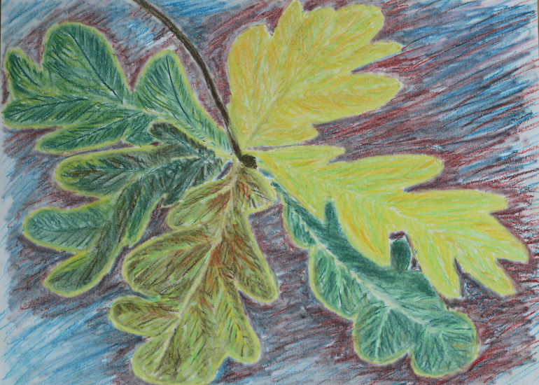 Stilleven met Herfstblad - 10-2013