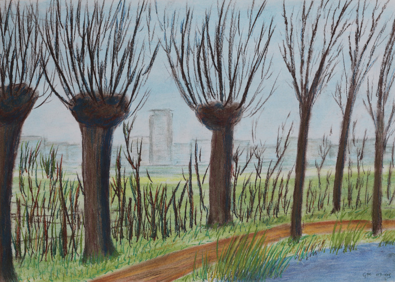 Landschap - Meerse plas - uitzicht stad - 2009-03