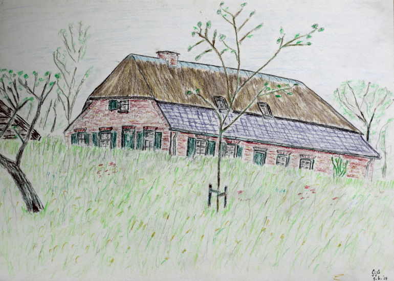 Landschap - Boerderij Cees en Toos Sterks in Den Dungen - 06-2008