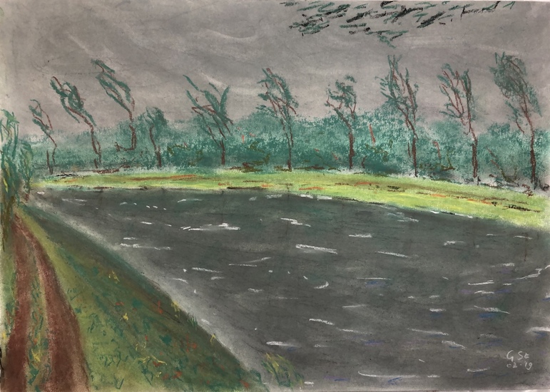 Dommel - 2 Zomer - 02-2019
