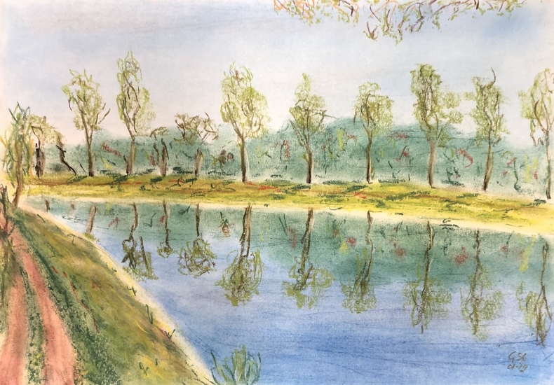 Dommel - 1 Lente - 01-2019