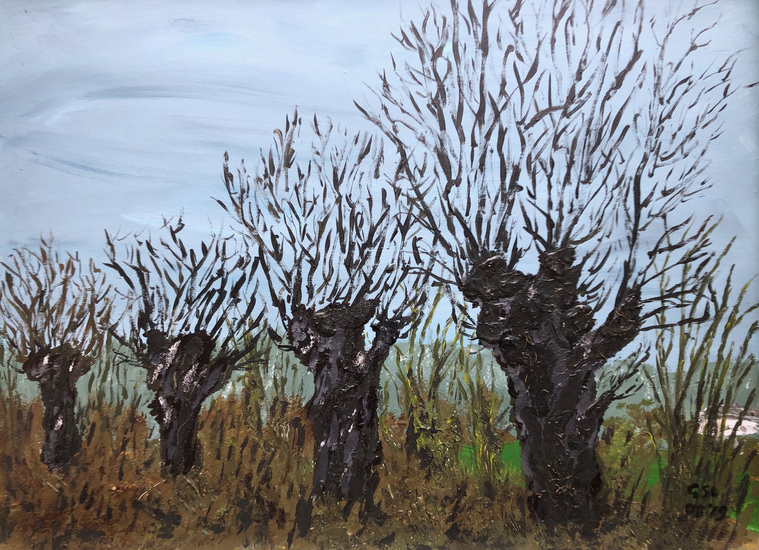 2019-08 Knoteiken Sterrenbos bij Oud Herlaar