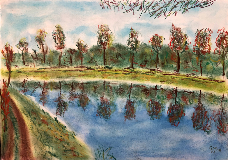 Dommel - 3 Herfst - 03-2019