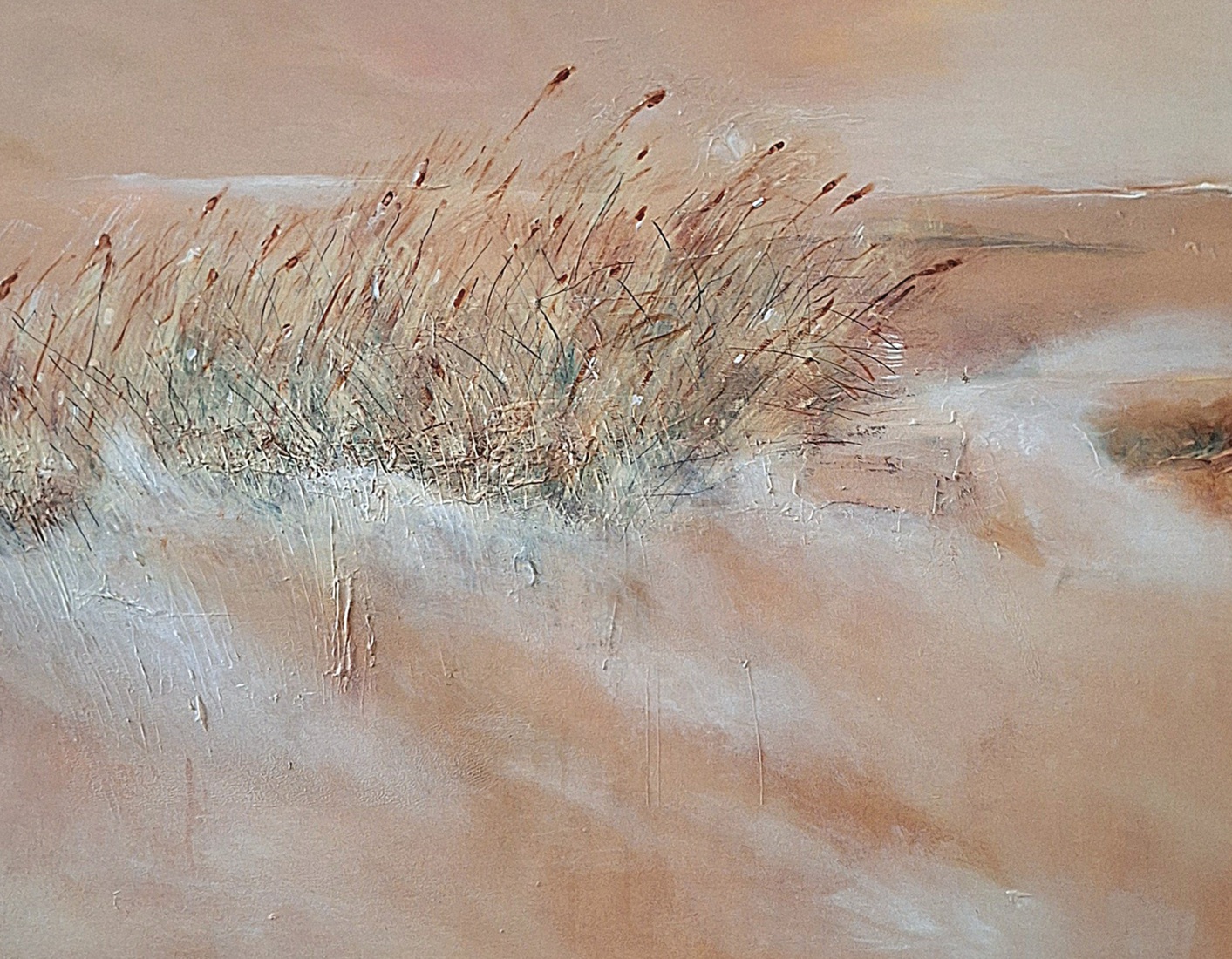 Zee en duinen