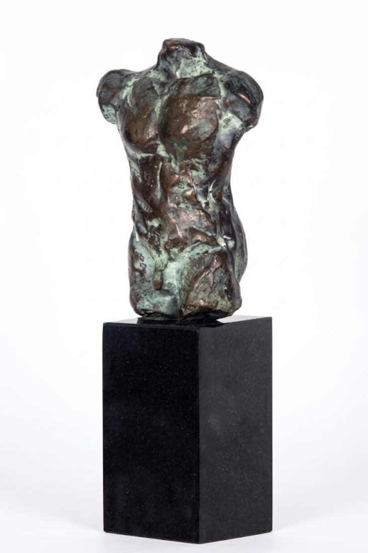 Torso