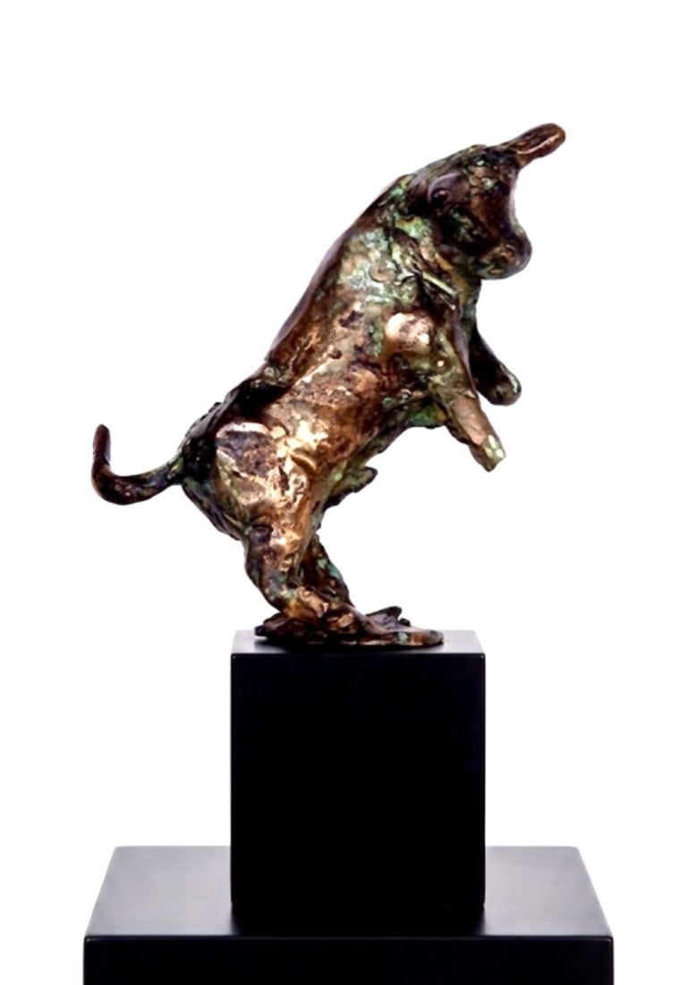 Torito stiertje