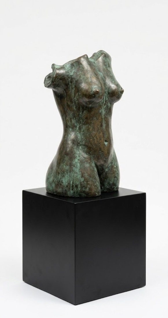 Torso 