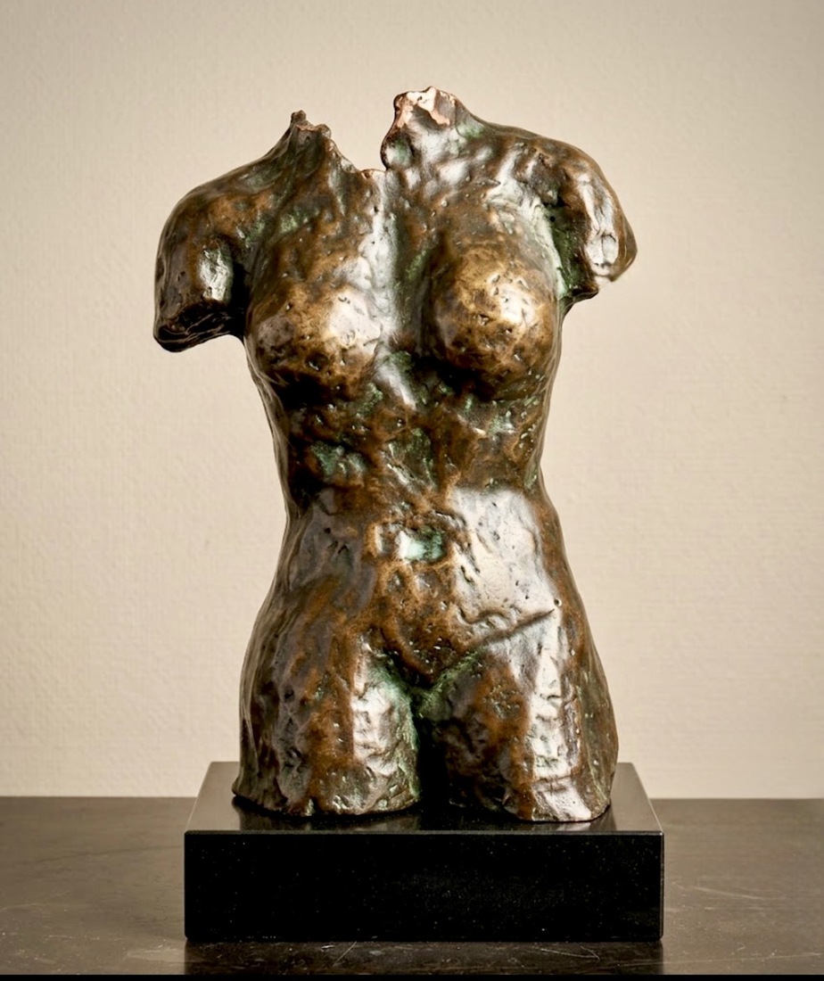 Torso