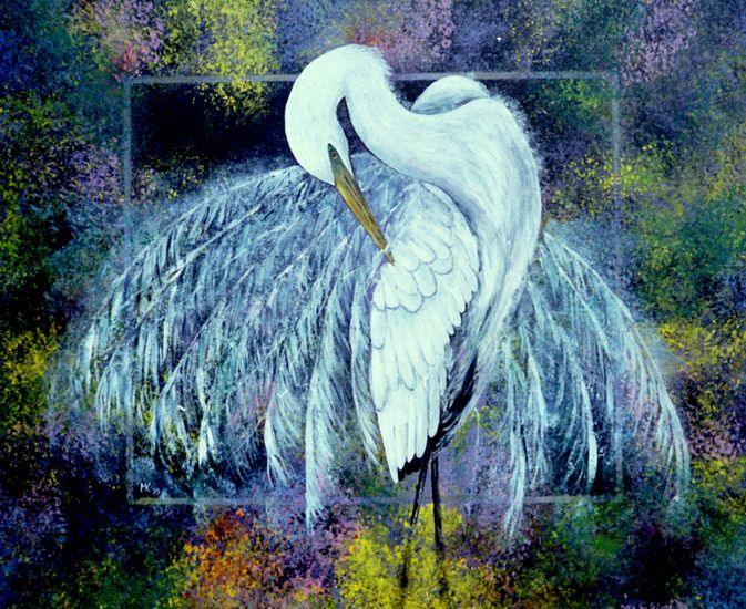 Pronkende zilverreiger