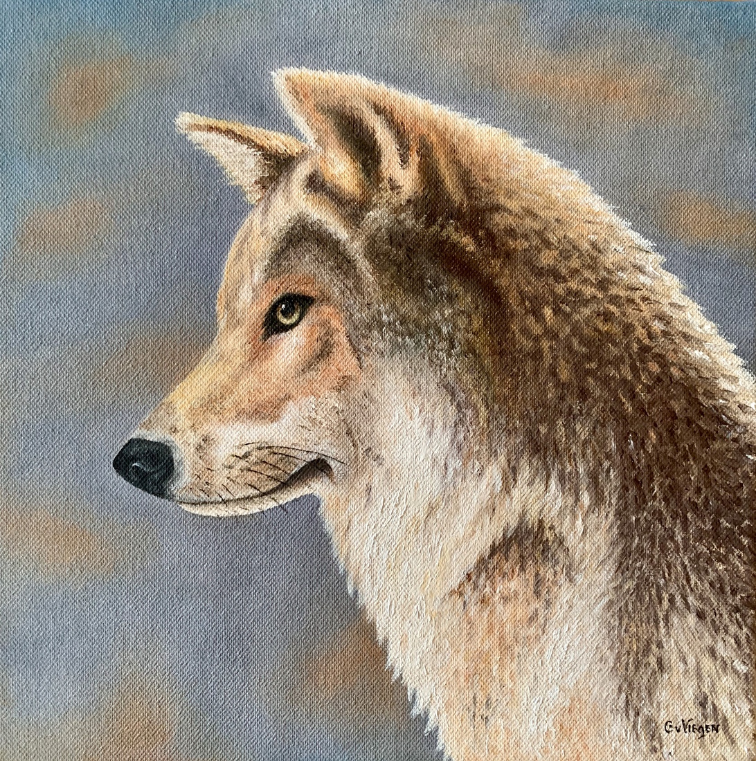 Wolf-portret.
