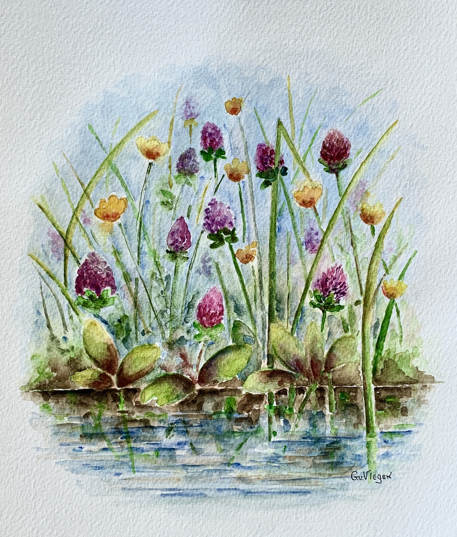 Wilde bloemen langs de slootkant