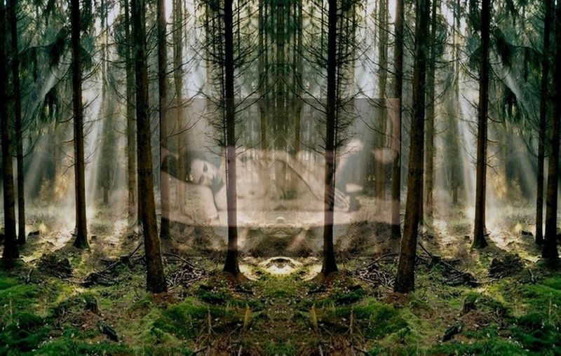 'Schuldig landschap' 2