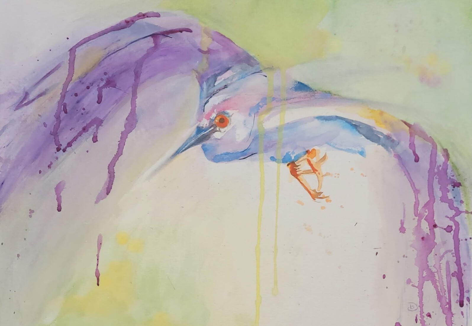 Vliegende ooievaar 1