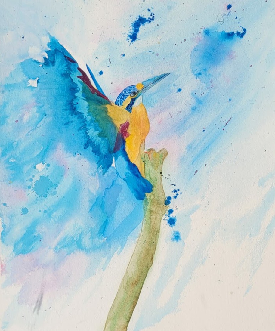 Opstijgende ijsvogel