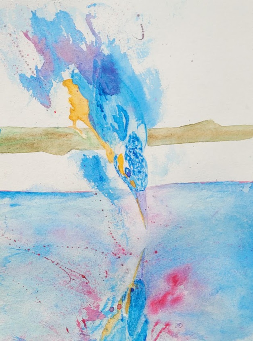 Ijsvogel spiegelbeeld