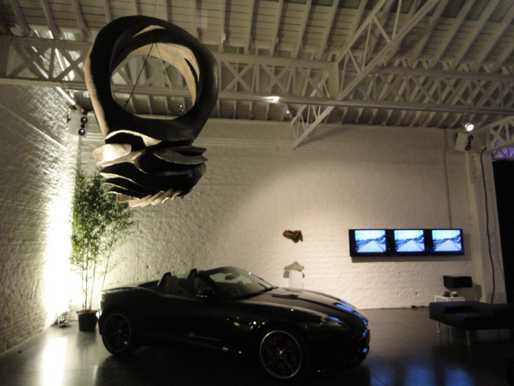 RING OF FAGUS SILVATICA