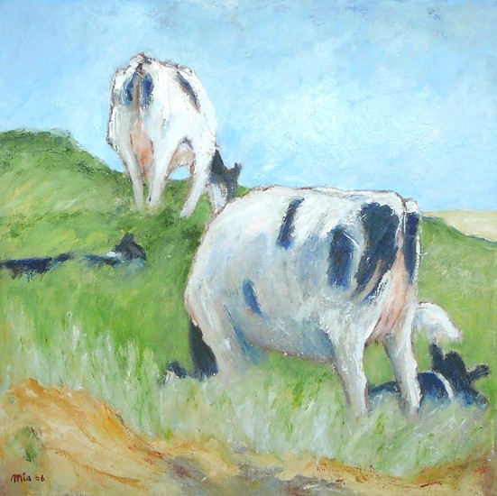 Koeien op Schiermonnikoog