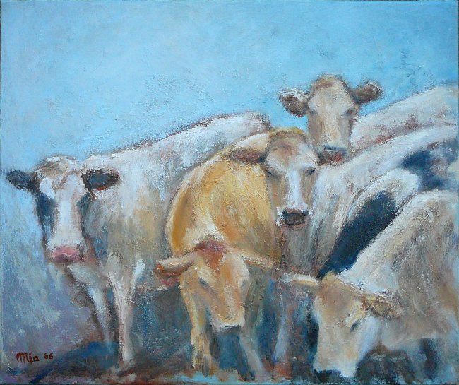 koeien ( 3)