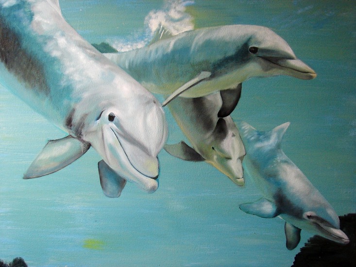 Dolfijnen
