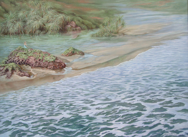 Tussen zee en jungle