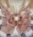 In het voorjaar, als de zon me uit mijn atelier lokt, duik ik mijn tuin in en schilder bloemen en ontdek al schilderend de buitengewone schoonheid van al het kleine: vlinders, mossen, varens, bloemen, en ook, wat men zo onterecht 'het onkruid' noemt.