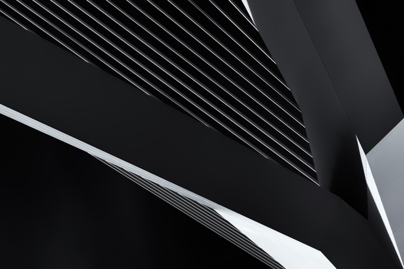 Abstraction of a swan