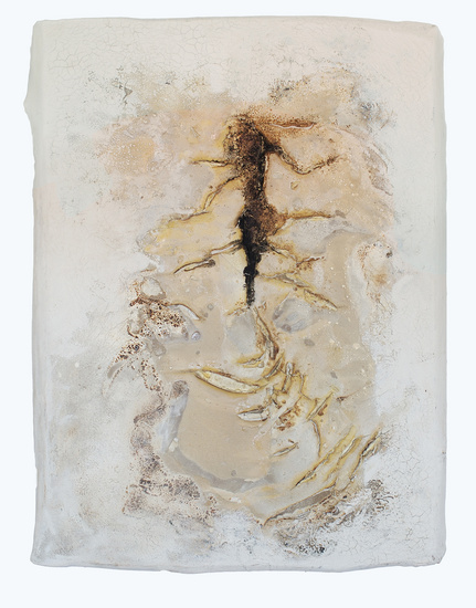 fossiel van de vuurvogel