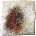 Een verrassende serie bomen en boswachters