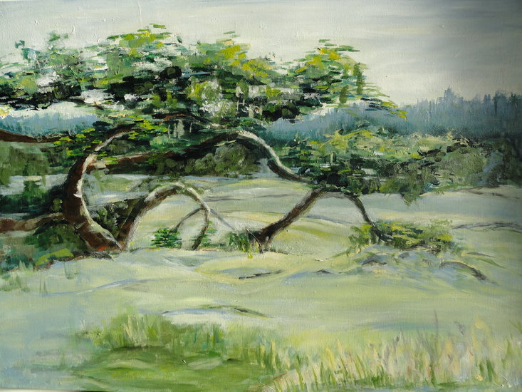 veluwe