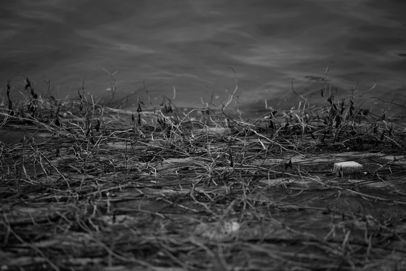 Dryness by the water