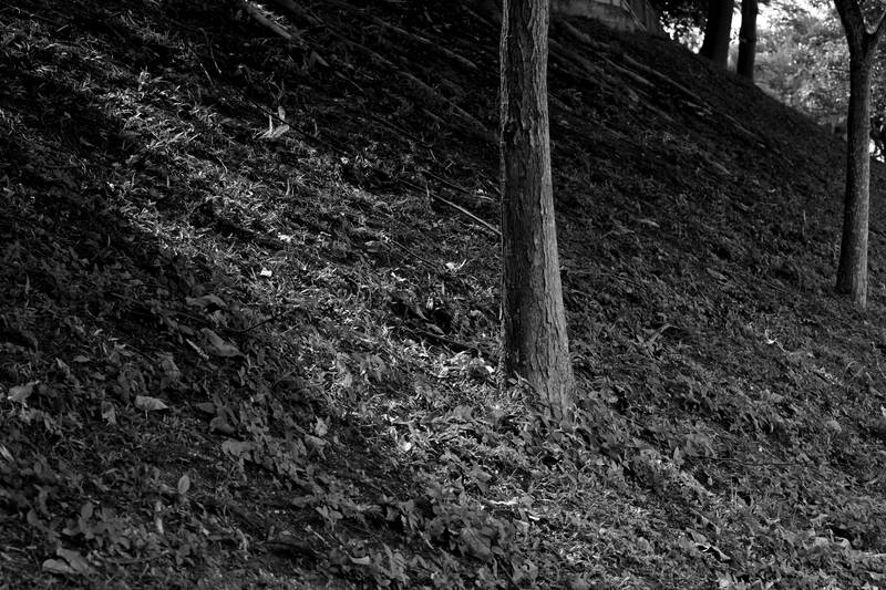 Light in the Darkness