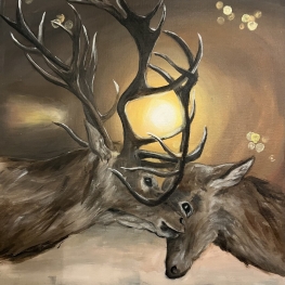 Reindeer in love