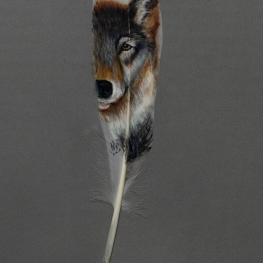 WOLF OP VEER