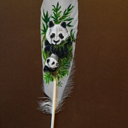 PANDA OP VEER