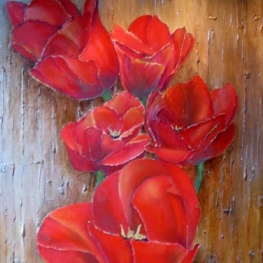 Rode tulpen