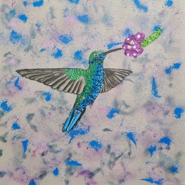 Hummingbird