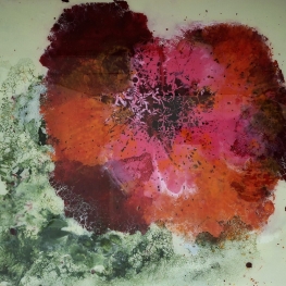 Rosa