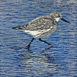 Three-toed sandpiper