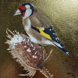 Goldfinch