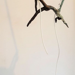 Cirque du soleil