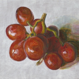 Rode druiven groene schaduw