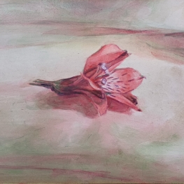 Gevallen bloempje roze