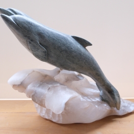 dolphins