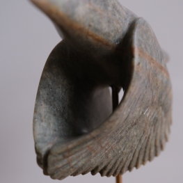 IJsvogel